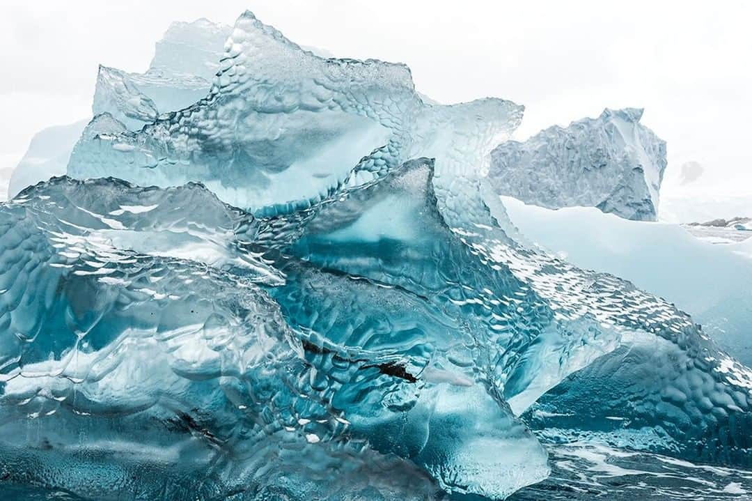 National Geographic Travelさんのインスタグラム写真 - (National Geographic TravelInstagram)「Photo by @daisygilardini | Icebergs form when ice calves from glaciers. Snow accumulates on top of a glacier and is compressed over time by new precipitation. The surface snow contains a lot of air, which reflects visible light— light we perceive as being white in color. After thousands of years of compression, the tiny air bubbles in the snow become squeezed. When the light hits the compressed ice, instead of bouncing back it's partially absorbed. The ice absorbs longer color wavelengths, such as red and yellow, reflecting the blue and green that are visible to our eyes. Follow me @daisygilardini for more images and behind-the-scenes stories. #Antarctica #iceberg #climatechange #climatechangeisreal #polar」6月22日 16時01分 - natgeotravel