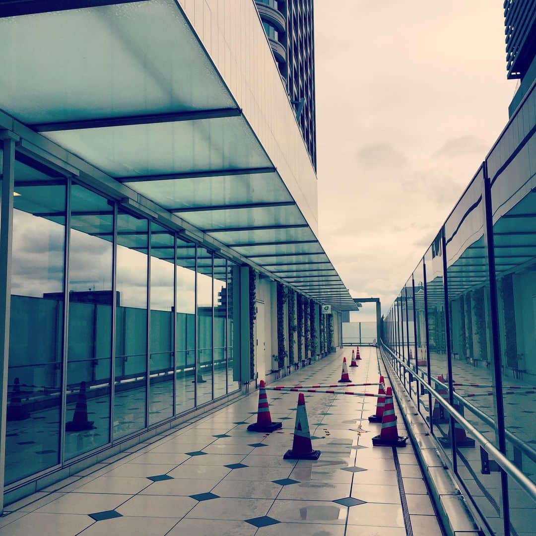 滝本竜彦のグルメインスタ