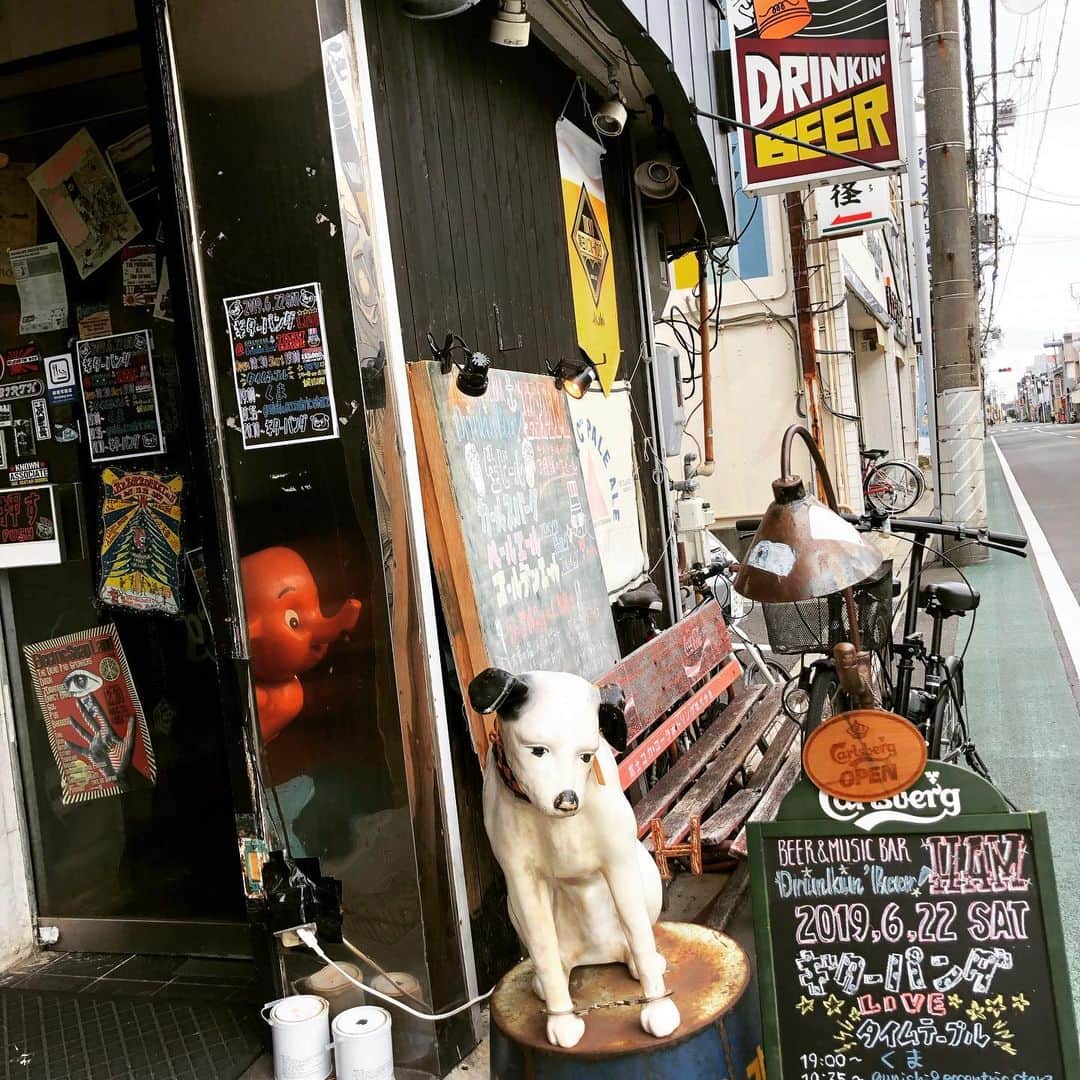 山川のりをのインスタグラム：「今夜は静岡市清水区HAMにてギターパンダライブです。18時30分/19時、2000円D付き。共演はクマちゃん、グリシアンドエクセレントリックスターズ、DJはyo-g or ACT、誠１LOW！ お近くの方々会いにきてアイニージュー！guitarpanda.net」