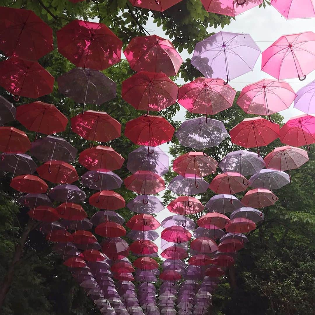 森遥香さんのインスタグラム写真 - (森遥香Instagram)「大学の友達4人で女子旅☺︎♡ 久しぶりにみんなとお出かけできて嬉しかったです✨ 雨のメッツァもまた幻想的でした☔︎ . . #ムーミン#ムーミンバレーパーク #メッツァビレッジ #ムーミンの歴史と時代背景を知れてもっと好きに #ムーミンハウスのチケットは早めに予約するのがおススメです」6月22日 23時32分 - moriri_h