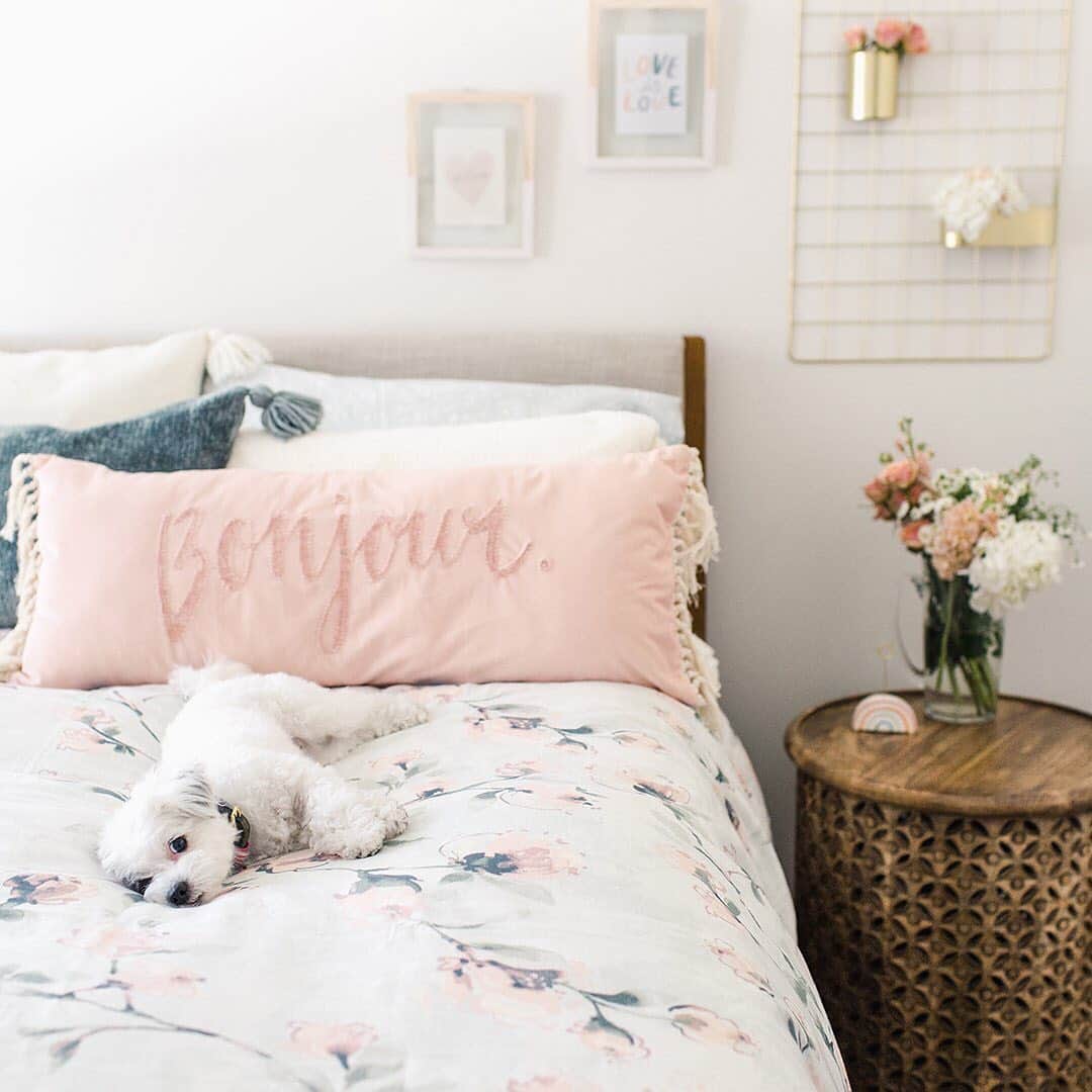 ロック&リパブリックのインスタグラム：「Getting dorm-ready? Say “bonjour” to big style (even if you have a small space). #Kohls」