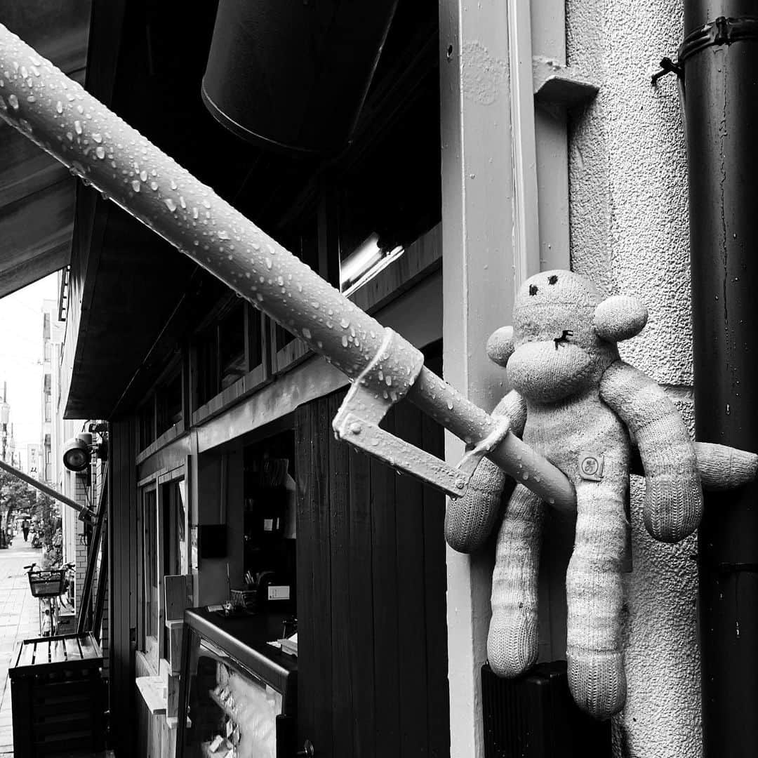 naotakeのインスタグラム：「マスコット - A mascot / iPhone XR + Snapseed, 20190623 . . 雨の夏至。 . . #royalsnappingartists #infamous_family #rsa_main #infinity_photo_cult #2_fineart #jp_gallery #jp_gallery_bnw #trb_bnw #wp_bnw  #bnw_life #bnwlife_member #bnw_life_shots #bnw_captures #world_bnw #top_bnw #team_jp_ #team_jp_モノクロ #ig_energy_bw #ig_nihon #streetphotographybnw #igersjp #blackandwhite #bnw #bnwphoto #monochrome #bw #bnwphotography #ShotOniPhone #shotoniphoneXR」