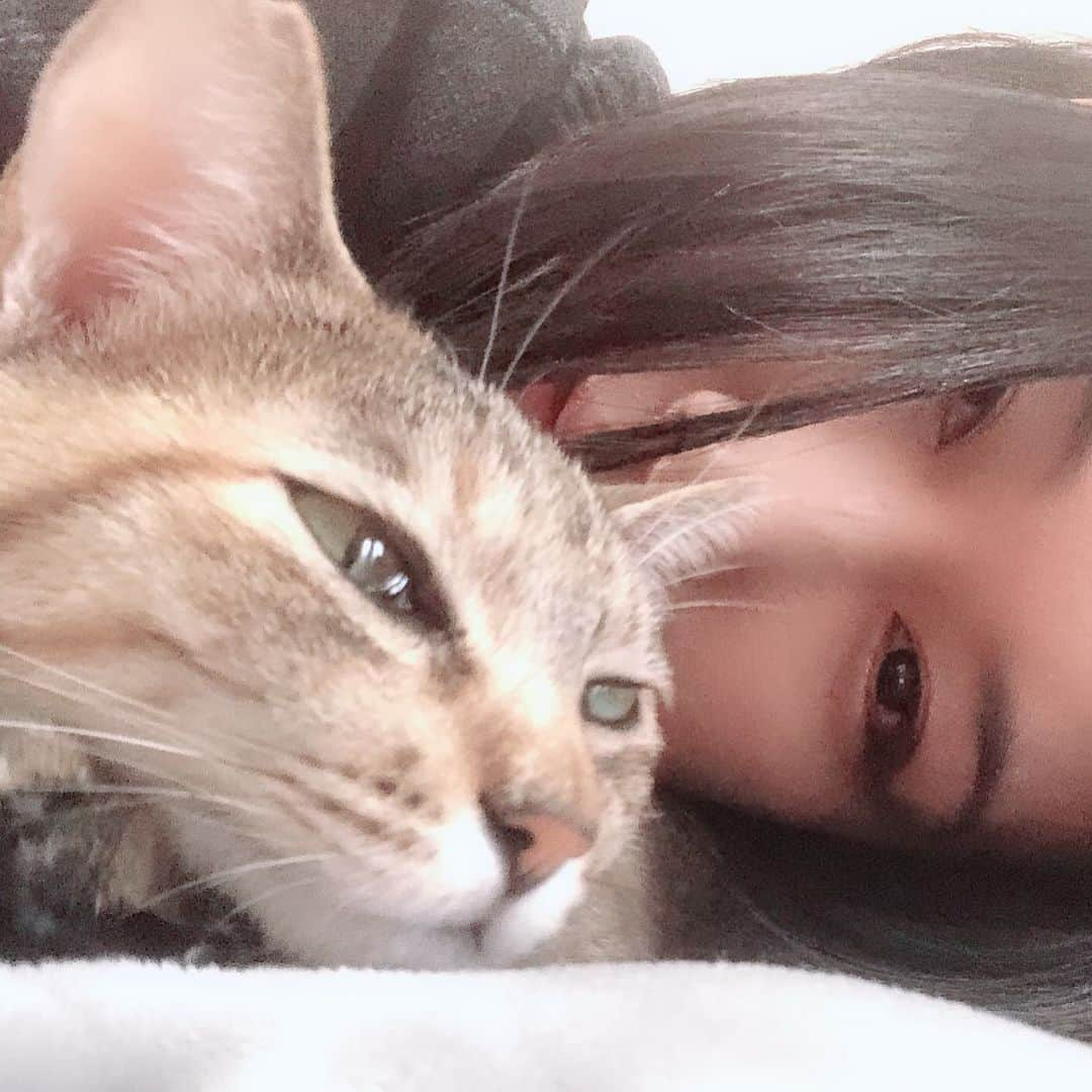 黒猫さんのインスタグラム写真 - (黒猫Instagram)「本日はリハーサルお休みです🍀 コンディションを整えて明日からまたみんなで頑張ります🤘 ちまちゃん今日はいっぱい遊ぼうね〜🐱❤️ 暑かったり肌寒かったり気温も定まりませんが、皆さんもご自愛ください😊 We are off today🍀 I'm just going to relax at home😊🐱 #陰陽座 #onmyouza #麦わら猫 #catstagram」6月22日 18時35分 - kuroneko_omz