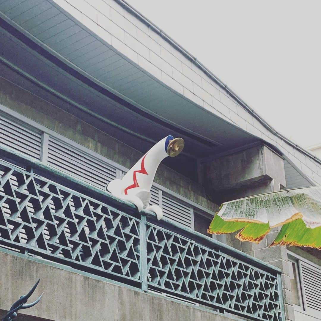 荒木巴さんのインスタグラム写真 - (荒木巴Instagram)「#岡本太郎記念館  #太陽の塔」6月22日 18時46分 - tomoearaki