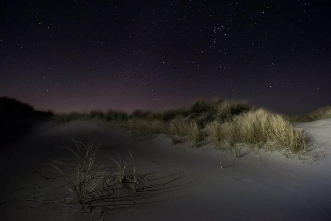 National Geographic Travelさんのインスタグラム写真 - (National Geographic TravelInstagram)「Photo by @kiliiiyuyan | Dune grasses sway under the stars on the northern Oregon coast. Globally, dune environments are both important wildlife habitat and a first-line defense against coastal erosion, as rising seas threaten to swallow coastal communities. #climatechange #nightsky #oregoncoast」6月22日 19時07分 - natgeotravel