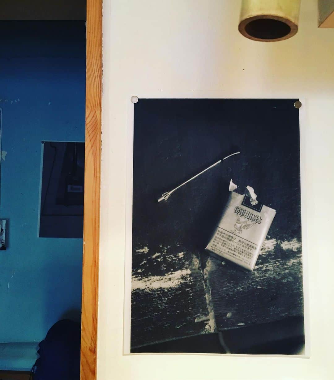 猫沢エミのグルメインスタ