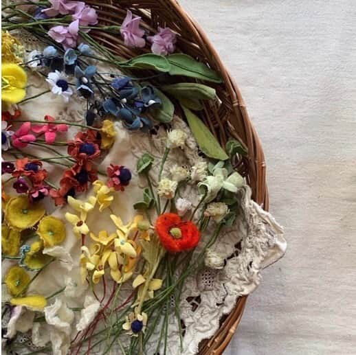 柏の葉 T-SITEのグルメインスタ