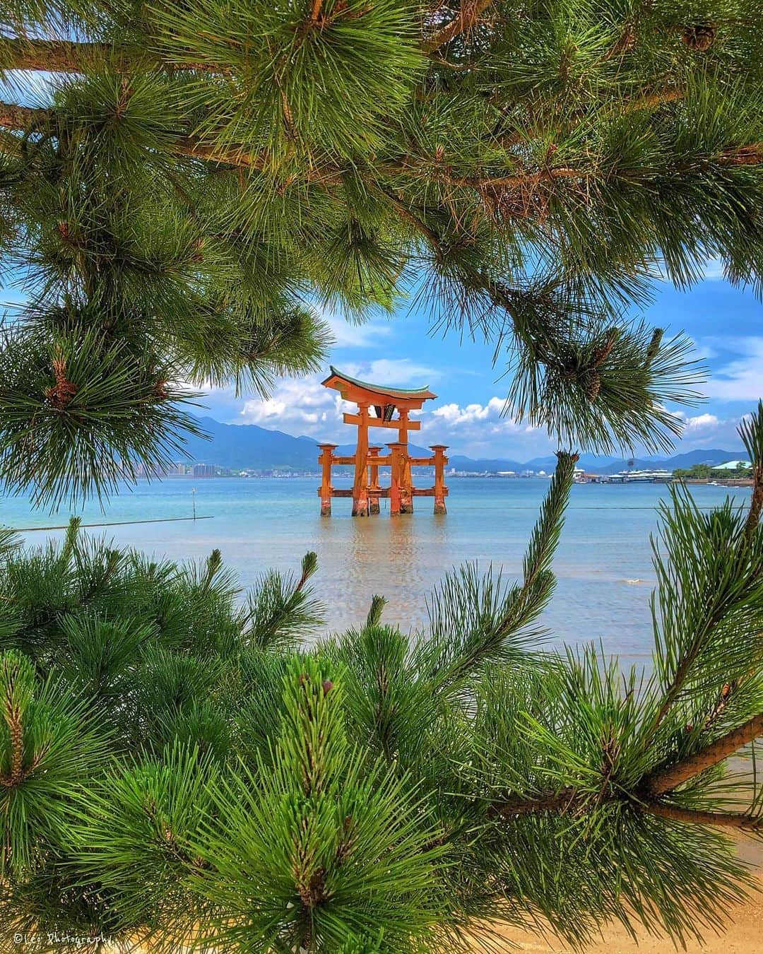 leo7000のインスタグラム：「法事で宮島 大願寺へ 余りにも人が多いから松の隙間から1枚⛩✨ IG皆さん、明日も良い一日になりますように😊👋🏻 🍺🍺✨」