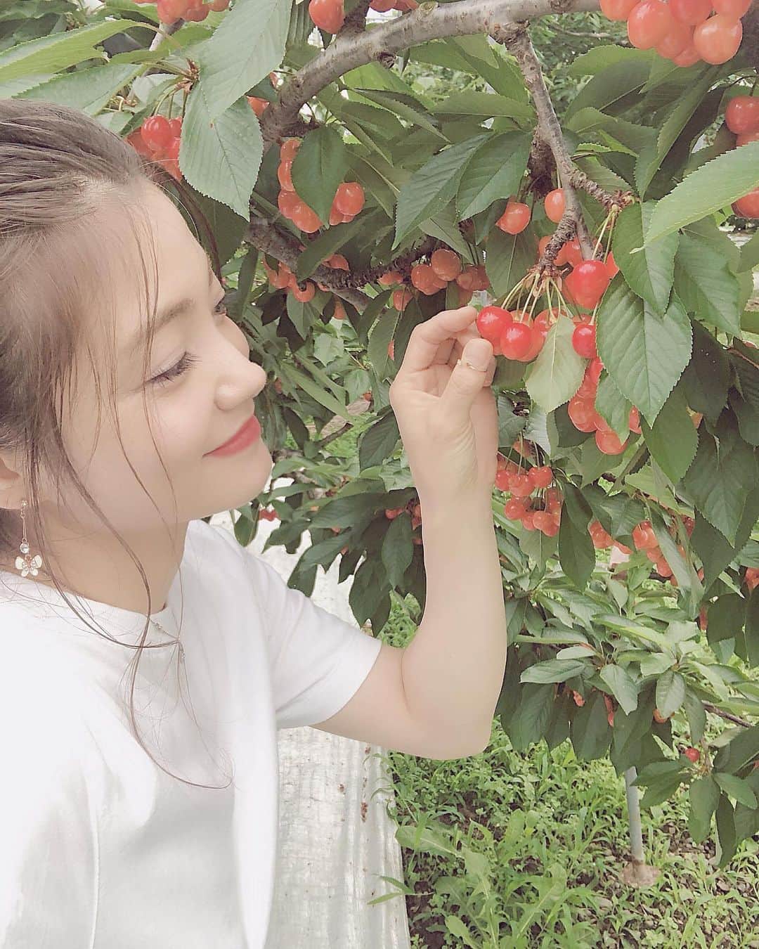 今吉めぐみのインスタグラム