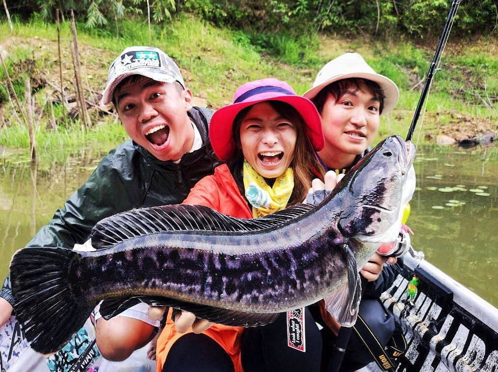 高本采実さんのインスタグラム写真 - (高本采実Instagram)「【先程の動画の続き🎣】 ハプニング動画では、 ランディングしてもらったネットに穴が空いてたので フッキングしたトーマンが そのままネットを通過して再び湖に😂 . 幸いにもトーマンはルアーから外れてなかったので 「ファイト2回戦スタート‼️🔥」 . ラインはネットを通っているので私は身動きできず ランディングマンのビックリマン高田さんが素手でライン引っ張りファイト🔥 現地友人のdannyが素手でランディング🔥 . こうして皆と力を合わせて釣り上げたトーマン🥺🎣✨ 最高に嬉しかったーーー😭🐟💕✨ . . . . . #マレーシア  #Malaysia #beris #berislake #berislakefishingadventures  #giantsnakehead #snakehead #toman #ジャイアントスネークヘッド #スネークヘッド #トーマン #怪魚 #雷魚 #怪魚ハンター #ボートフィッシング #boatfishing #海外釣行 #釣り #釣りフォト  #釣りフォトコン #釣り好き #釣りガール #fishing #fishinggirl #高本采実 #あやみん #ayamistagram」6月22日 20時23分 - ayami__summer