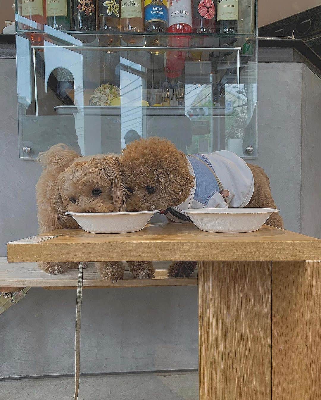 前山奈津巴のグルメインスタ