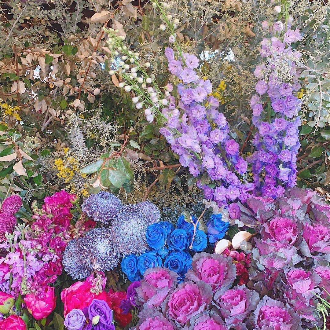 中谷愛さんのインスタグラム写真 - (中谷愛Instagram)「The Grounds of Alexandria の中にあるお花屋さん💐﻿ ﻿ 店内はきれいなお花で溢れていた💐﻿ もう、とっても好きな空間でした🏡﻿ ﻿ #australia #sydney #sydneycafe ﻿ #thegroundsofalexandria #flowers ﻿ #ai___worldtravel」6月22日 20時45分 - aixox3