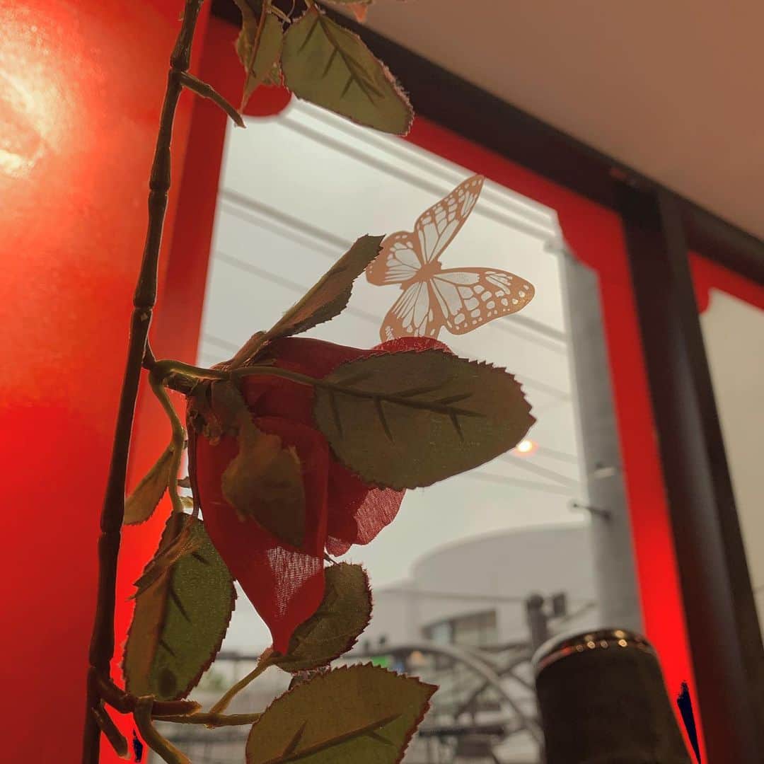 MiMiのインスタグラム