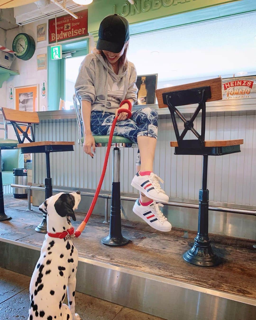 五月千和加さんのインスタグラム写真 - (五月千和加Instagram)「. メロディーとは毎日のお散歩🐕と、出来れば週1〜2回一緒にお出かけしてるよ😉💓 稽古場にも連れて行ってお弟子さん方にも可愛がられています😏✨✨ .  関東(出来れば東京付近)でオススメのワンちゃん同伴可能レストランやカフェがあれば教えて欲しいです！ . 今6ヶ月で12ｋｇ！ まだまだパピー🤣どこまで大きくなるのか楽しみ❤️ . #犬 #犬のしつけ #犬のマナー #ドッグトレーニング #トレーニング #ダルメシアン #ダルメシアンパピー #パピー #子犬 #仔犬 #お出かけ #ドッグカフェ #dogtraining #training #dog #doggy #dalmatian #dalmatianpuppy #puppy #trainingwear #tokyo #dogcafe #sportsfashion #sporty #愛犬 #犬のいる生活 #大型犬 #犬の散歩 #101匹わんちゃん」6月22日 21時02分 - satsuki_senwaka
