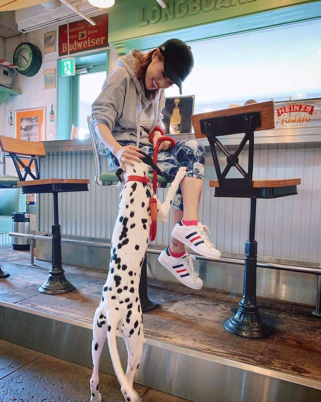 五月千和加さんのインスタグラム写真 - (五月千和加Instagram)「. メロディーとは毎日のお散歩🐕と、出来れば週1〜2回一緒にお出かけしてるよ😉💓 稽古場にも連れて行ってお弟子さん方にも可愛がられています😏✨✨ .  関東(出来れば東京付近)でオススメのワンちゃん同伴可能レストランやカフェがあれば教えて欲しいです！ . 今6ヶ月で12ｋｇ！ まだまだパピー🤣どこまで大きくなるのか楽しみ❤️ . #犬 #犬のしつけ #犬のマナー #ドッグトレーニング #トレーニング #ダルメシアン #ダルメシアンパピー #パピー #子犬 #仔犬 #お出かけ #ドッグカフェ #dogtraining #training #dog #doggy #dalmatian #dalmatianpuppy #puppy #trainingwear #tokyo #dogcafe #sportsfashion #sporty #愛犬 #犬のいる生活 #大型犬 #犬の散歩 #101匹わんちゃん」6月22日 21時02分 - satsuki_senwaka