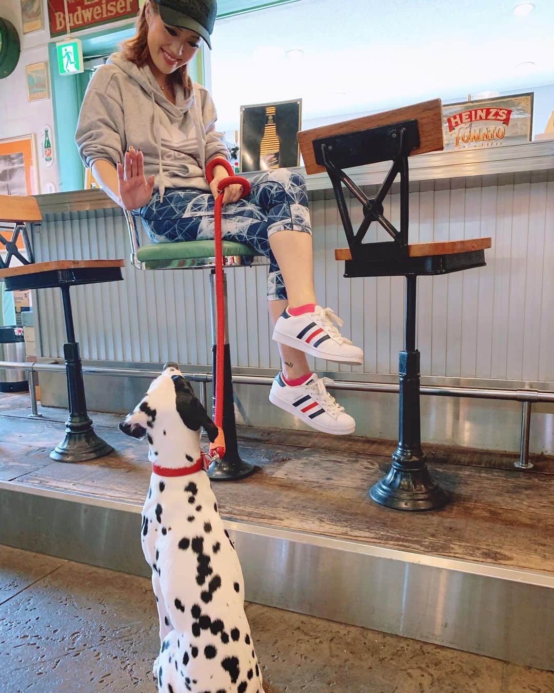 五月千和加さんのインスタグラム写真 - (五月千和加Instagram)「. メロディーとは毎日のお散歩🐕と、出来れば週1〜2回一緒にお出かけしてるよ😉💓 稽古場にも連れて行ってお弟子さん方にも可愛がられています😏✨✨ .  関東(出来れば東京付近)でオススメのワンちゃん同伴可能レストランやカフェがあれば教えて欲しいです！ . 今6ヶ月で12ｋｇ！ まだまだパピー🤣どこまで大きくなるのか楽しみ❤️ . #犬 #犬のしつけ #犬のマナー #ドッグトレーニング #トレーニング #ダルメシアン #ダルメシアンパピー #パピー #子犬 #仔犬 #お出かけ #ドッグカフェ #dogtraining #training #dog #doggy #dalmatian #dalmatianpuppy #puppy #trainingwear #tokyo #dogcafe #sportsfashion #sporty #愛犬 #犬のいる生活 #大型犬 #犬の散歩 #101匹わんちゃん」6月22日 21時02分 - satsuki_senwaka