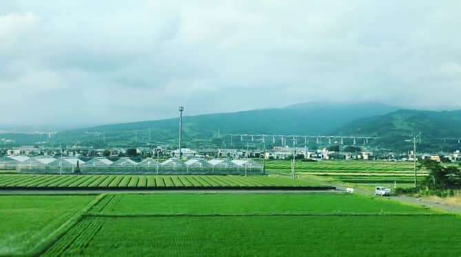 馬場典子さんのインスタグラム写真 - (馬場典子Instagram)「昨日の帰りの#富士山 の裾野」6月22日 21時30分 - baba_channel