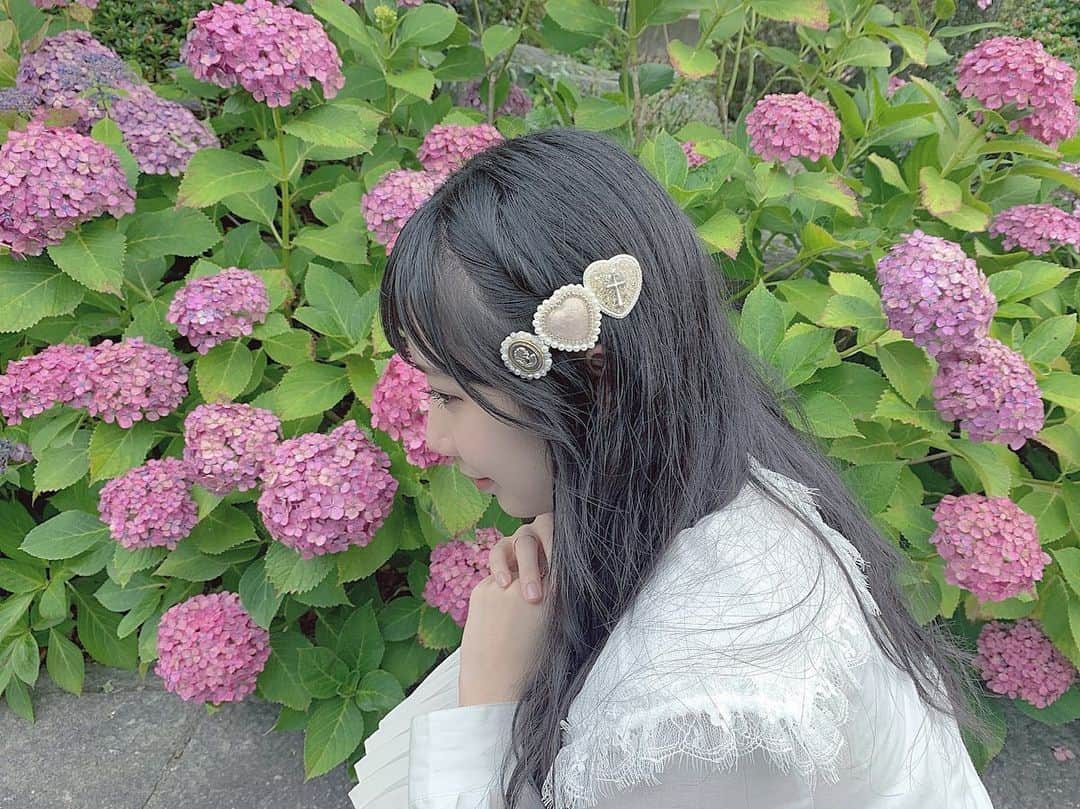 上野遥さんのインスタグラム写真 - (上野遥Instagram)「おばあちゃん家の紫陽花💠 #紫陽花 #recolle」6月22日 21時30分 - harutan.pink