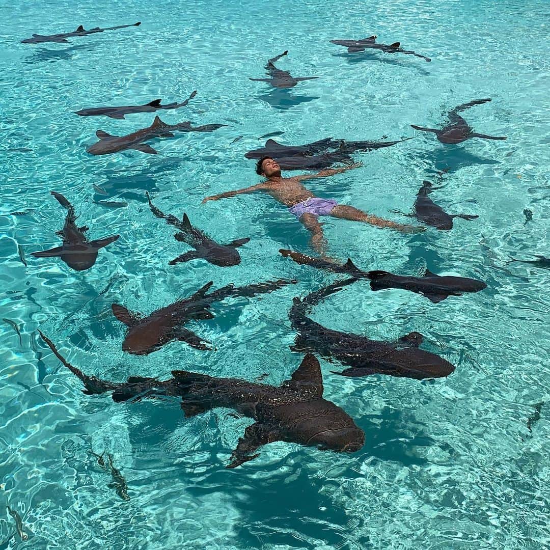オリベル・トーレスのインスタグラム：「🦈🦈🦈」