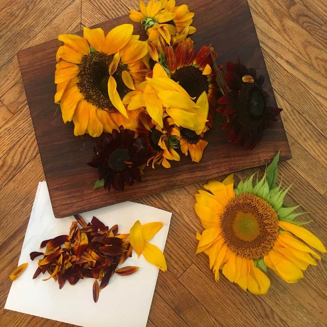 journaleatripのグルメインスタ