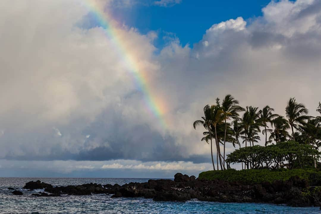 Instagenic Hawaiiさんのインスタグラム写真 - (Instagenic HawaiiInstagram)「Aloha! ハワイでは たくさんの 虹をみることができますよ😊  虹にちなんだ場所やグルメ、お店も見つけられます😆  ハワイでたくさんのrainbow を探してみてください！ ハワイで見つけたrainbowをぜひ教えてください🌈✨ #ハワイ #Hawaii #オアフ #Oahu #ハワイ島 #islandofhawaii #虹 #rainbow  #rainbowfalls #七色の滝 #かき氷 #シェイブアイス  #shaveice」6月23日 7時58分 - gohawaii_jp