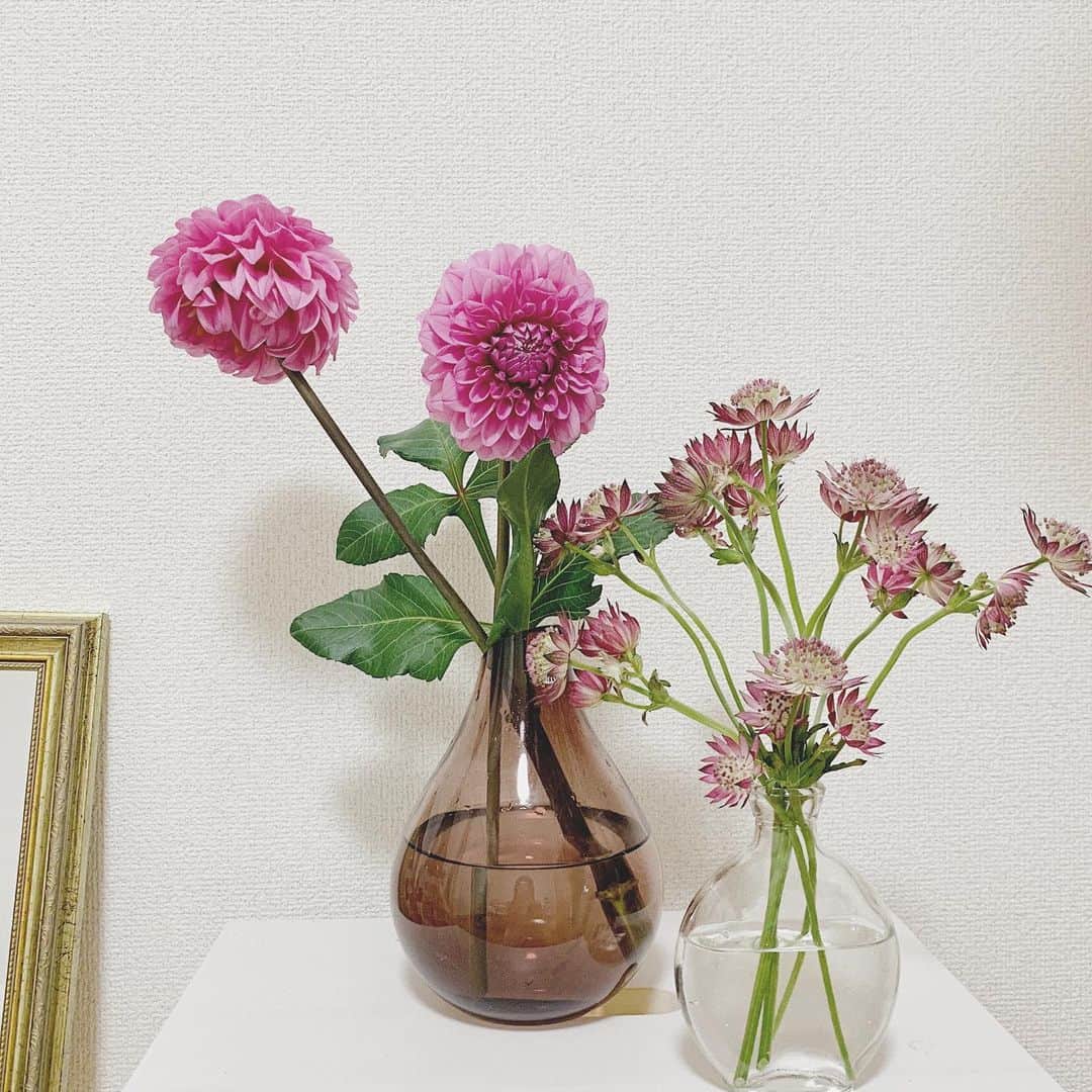 mina hinokuchiのインスタグラム：「. pink🌹 . 明日も1日お待ちしてます♡♡ #flower #花 #今日の花 #花のある生活 #mina_myroom」
