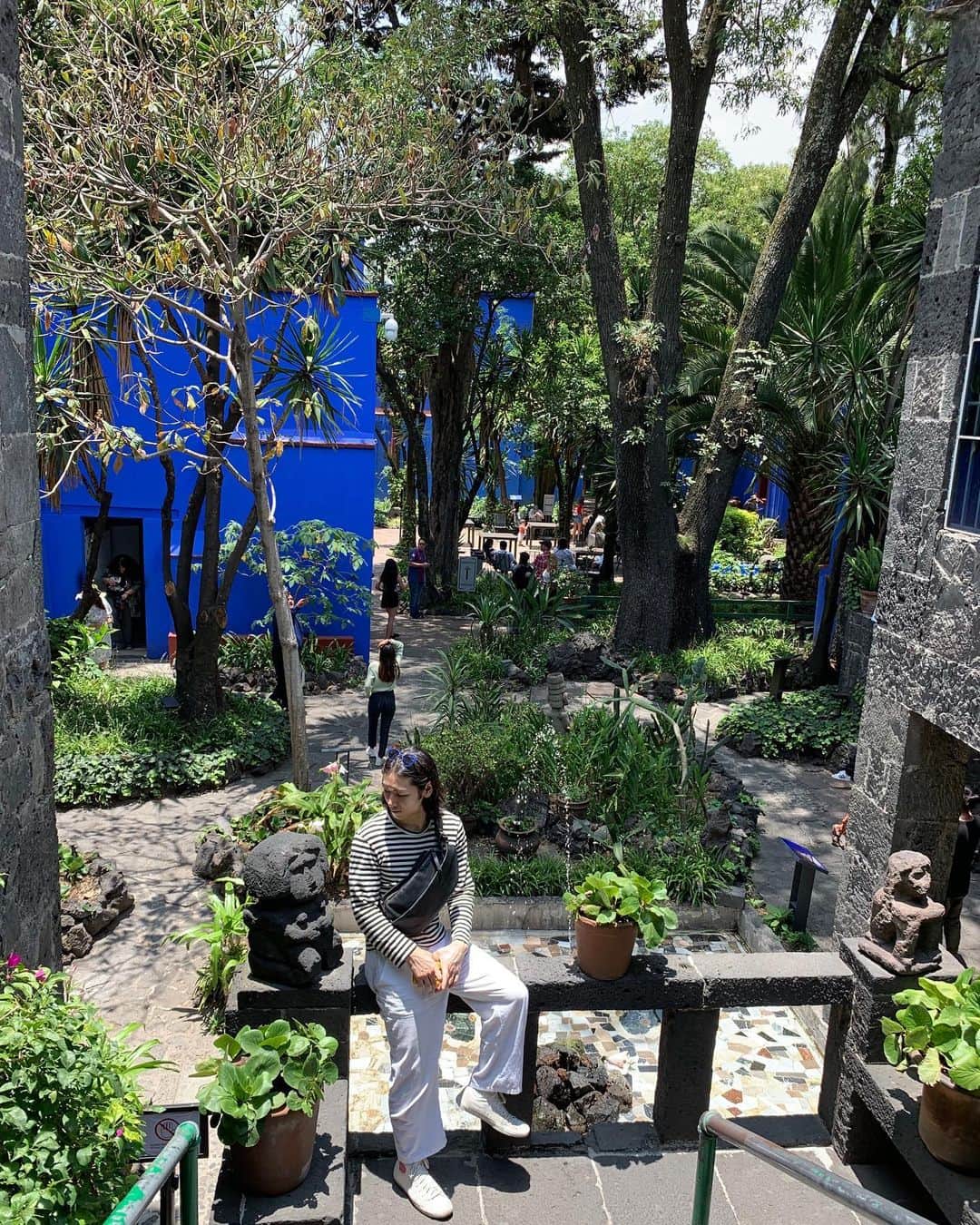 小林尊のインスタグラム：「FRIDA’s Garden フリーダのガーデン  #fridakahlo #フリーダカーロ #Mexico #メキシコ 🇲🇽 🌵🌮🥑🌶☕️」