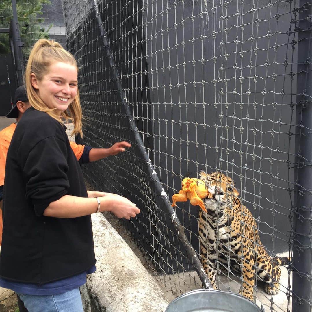Black Jaguar-White Tiger さんのインスタグラム写真 - (Black Jaguar-White Tiger Instagram)「Our Lovely volunteers, Sidney and Susan, helping us feed the kids, in Sidney’s case, Matzulingui :) #MaTzu」6月23日 0時36分 - blackjaguarwhitetiger