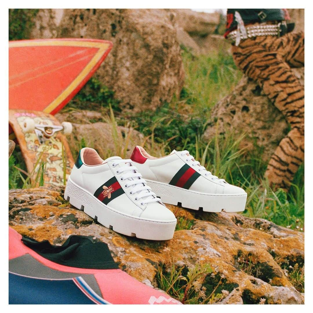 グッチさんのインスタグラム写真 - (グッチInstagram)「The #GucciAce sneaker is set on a platform and features the metallic bee—an archival code—against the House Web. Since its debut, the Ace sneaker has become a mainstay of the #Gucci collections and is continually reinterpreted and reintroduced into Gucci’s eclectic narrative. Discover more through link in bio. @alessandro_michele #AlessandroMichele #GucciPreFall19」6月23日 1時00分 - gucci