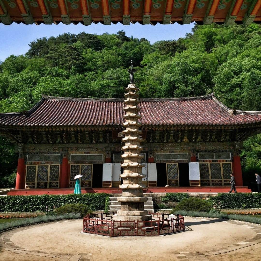 National Geographic Travelさんのインスタグラム写真 - (National Geographic TravelInstagram)「Photo by David Guttenfelder @dguttenfelder | This Koryo period pagoda stands on the grounds of 11th century Pohyon Temple in the foothills of North Korea's Mount Myohyong. Please follow me, @dguttenfelder, for an inside look at North Korea, where I have been traveling and photographing for the past 19 years.」6月23日 1時12分 - natgeotravel