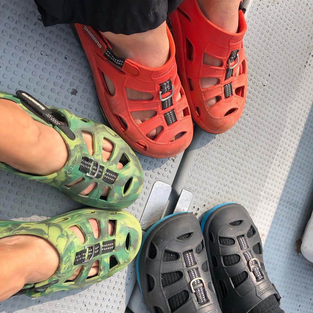 のインスタグラム：「生放送が終わって、今後のお仕事で使うアイテム達をピックアップしに行って来ました😄 そして明日からの準備💼 明日からまた海に出ます🌊 それにしてもキレイに焼けた（笑）‼️😳‼️ #どひぇー #靴下履くのが正解なのか #笑 #釣りやってる方はきっとこんな感じですよね #ある意味 #芸術 #サンダル #焼け #毎年こうなる #日焼け止めのCM #オファー #お待ちしております #なかなかの美脚なはず #目指せ #脚タレ #爆笑 #シマサン焼け #太陽を浴びたいよう #love #fishing #な #証拠 #お揃い #明日からまた海に出ます #🐟 #☀️ #😂 #🤣 #やっちまった #❤」