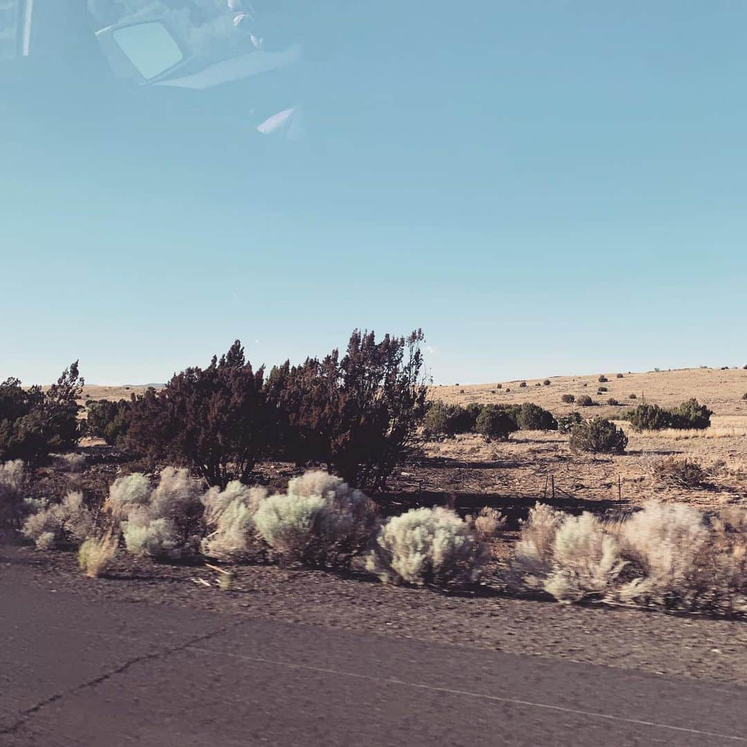 キャット・デルーナさんのインスタグラム写真 - (キャット・デルーナInstagram)「Beautiful natural Arizona! See ya’ll at FlagStaff Pride tonight!! #pride #flagstaff #flagstaffpride #bekind #spreadlove 🌵🌵🌵🌵🏳️‍🌈🏳️‍🌈🏳️‍🌈🏳️‍🌈🏳️‍🌈🏳️‍🌈」6月23日 1時57分 - katdeluna