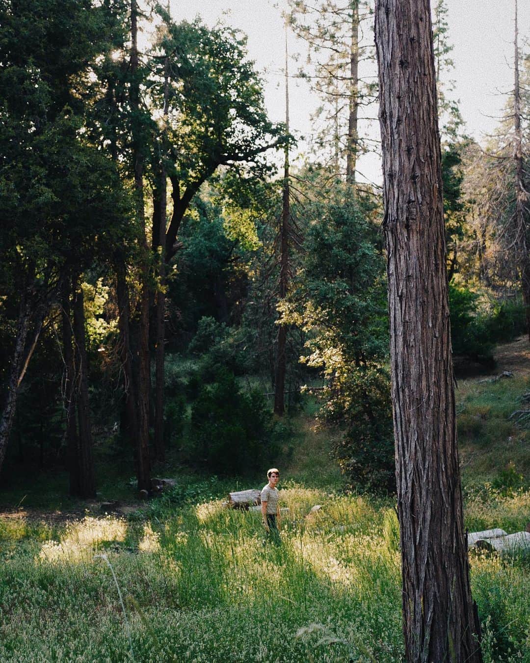 コナー・フランタのインスタグラム：「back in my natural habit ☺️ pic by cute boy, @willdarbyshire」