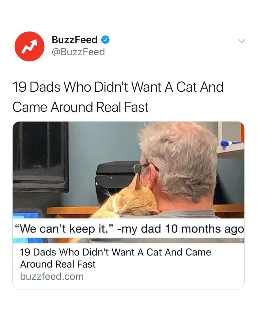 BuzzFeedさんのインスタグラム写真 - (BuzzFeedInstagram)「Dads and cats! What's better than this? NOTHING. We've got the pics 👉link in bio 😻」6月23日 5時00分 - buzzfeed