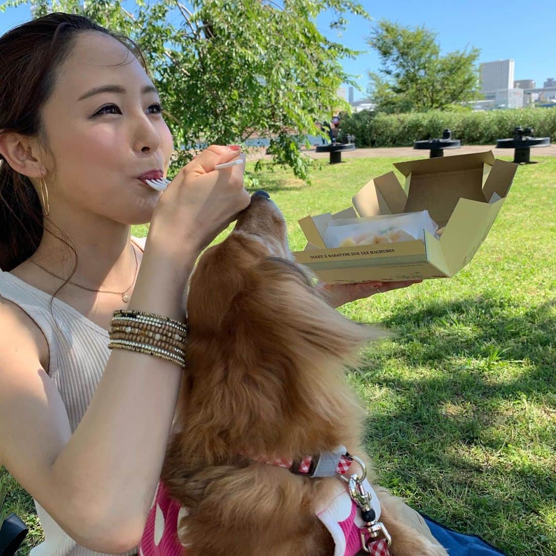 りーまるさんのインスタグラム写真 - (りーまるInstagram)「12歳になりました🐶 スワイプしてね▶︎▶︎▶︎ ・ #りーまる #サロモ #サロンモデル #インフルエンサー #フリーモデル#フリーランスモデル#撮影データ #撮影モデル募集 #広告モデル #ファッション ・ ・ ・ ・ ・ ・ ・ ・ 銀座のキルフェボン @quilfaitbon_official で マンゴータルトと桃とチーズのタルト買って 豊洲公園へ🌟 ・ ・ ・ わんこには大好物のさつまいもを持っていき、 12歳のお祝いしてきました😊💐 ・ ・ 天気も良くピクニック日和！ とても気持ちよかったです💓 ・ ・ 12年目の今年も一緒にたくさん過ごしたいです🐶🙋‍♀️ ・ ・ ・ ・ 〈 撮影依頼募集中〉 7月の撮影依頼おまちしてます♪ DMくださると嬉しいです💐 よろしくお願い致します☺︎ ・ ・ ・ ・ #アパレルモデル #りーまるグルメ #ポートレートモデル #被写体モデル#カメラマンさんと繋がりたい #笑顔 #作品撮り #ダイエット #写真好きな人と繋がりたい  #美容好きな人と繋がりたい #犬のいる暮らし #ダックス #女子力アップ #GUコーデ  #スイーツ女子 #プチプラコーデ #東京グルメ #ピクニック #豊洲公園 #キルフェボン」6月23日 5時55分 - riii_maru162cm