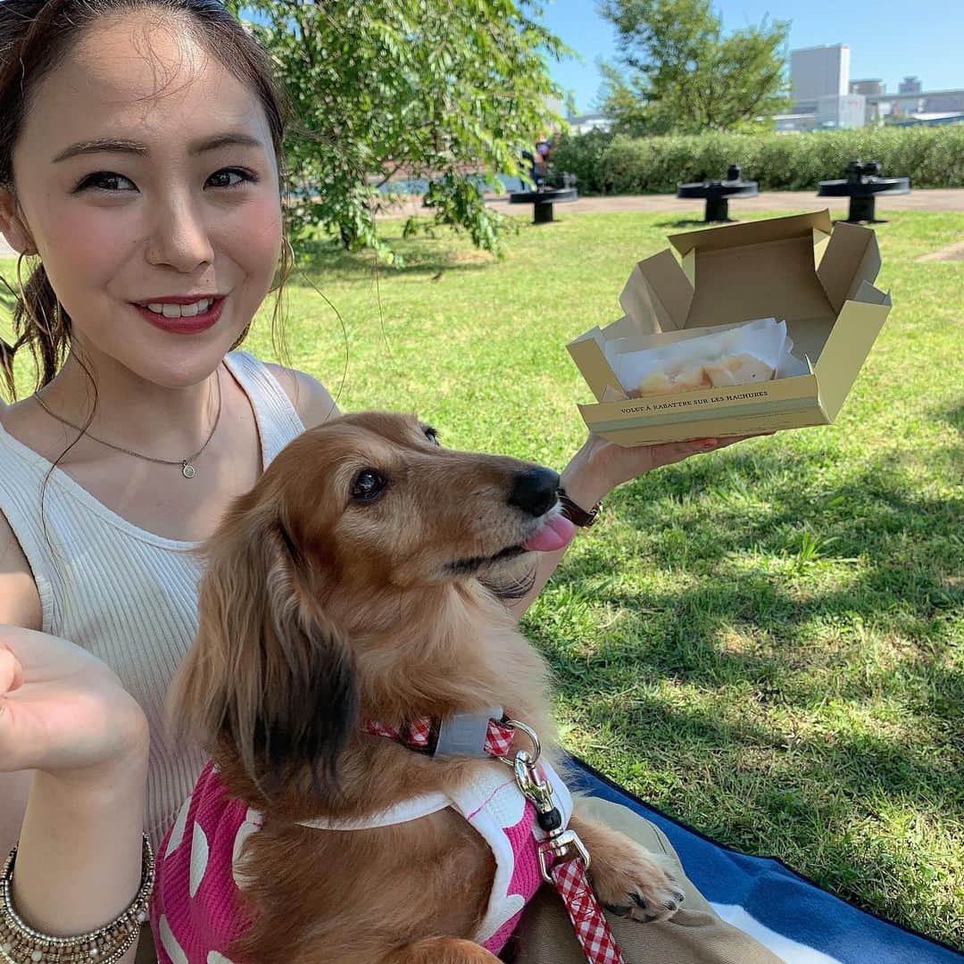 りーまるさんのインスタグラム写真 - (りーまるInstagram)「12歳になりました🐶 スワイプしてね▶︎▶︎▶︎ ・ #りーまる #サロモ #サロンモデル #インフルエンサー #フリーモデル#フリーランスモデル#撮影データ #撮影モデル募集 #広告モデル #ファッション ・ ・ ・ ・ ・ ・ ・ ・ 銀座のキルフェボン @quilfaitbon_official で マンゴータルトと桃とチーズのタルト買って 豊洲公園へ🌟 ・ ・ ・ わんこには大好物のさつまいもを持っていき、 12歳のお祝いしてきました😊💐 ・ ・ 天気も良くピクニック日和！ とても気持ちよかったです💓 ・ ・ 12年目の今年も一緒にたくさん過ごしたいです🐶🙋‍♀️ ・ ・ ・ ・ 〈 撮影依頼募集中〉 7月の撮影依頼おまちしてます♪ DMくださると嬉しいです💐 よろしくお願い致します☺︎ ・ ・ ・ ・ #アパレルモデル #りーまるグルメ #ポートレートモデル #被写体モデル#カメラマンさんと繋がりたい #笑顔 #作品撮り #ダイエット #写真好きな人と繋がりたい  #美容好きな人と繋がりたい #犬のいる暮らし #ダックス #女子力アップ #GUコーデ  #スイーツ女子 #プチプラコーデ #東京グルメ #ピクニック #豊洲公園 #キルフェボン」6月23日 5時55分 - riii_maru162cm