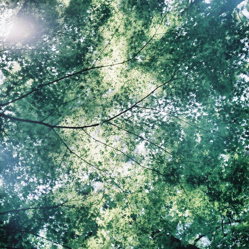 izumi_60のインスタグラム：「おはよう🌿. . . .早起きしたから眠い💤. .もういっかい、お布団に入ろうかな . . 2019│06│23│sunday│AM6:42」