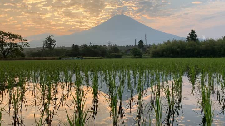 phantastic420のインスタグラム：「. 🤩🤩“Shizuoka” prefecture in Japan is a place where you can see the most “phantastic” Mt. Fuji🗻 in the world.🤩 #富士山 #mtfuji #japan #shizuoka #fujinomiya  #phantastic420photography #mostphantasticmtfuji #selamatpagi  #goodmorning  #おはようございます 😇😇😇😇😇😇😇🗻😇😇 今朝は全く見えません🤣」