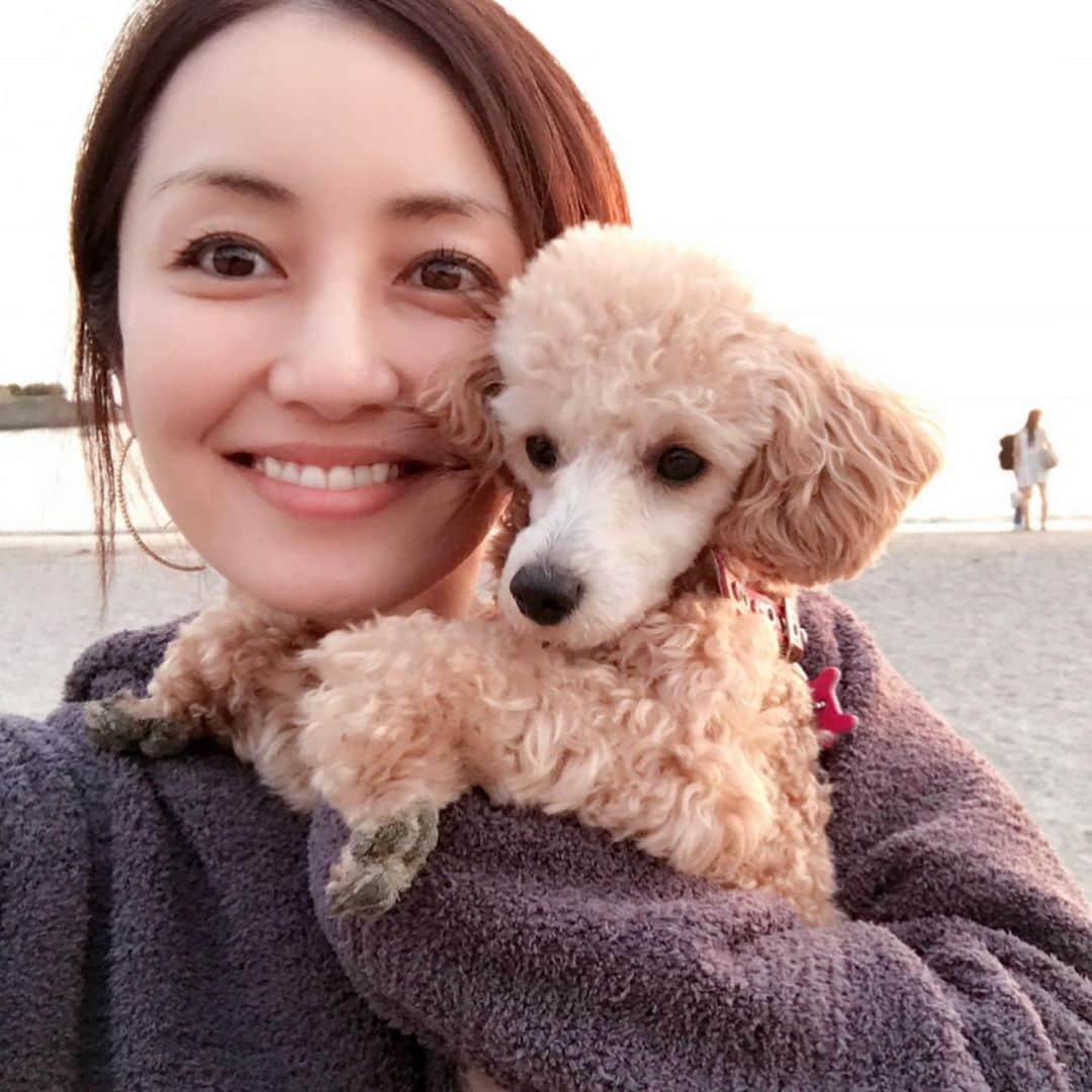 矢田亜希子さんのインスタグラム写真 - (矢田亜希子Instagram)「今日は、もなか&きなこのお誕生日。今日で3歳☆ #矢田亜希子 #akikoyada #愛犬#お誕生日#トイプードル#toypoodle #toypoodleapricot #トイプードルアプリコット#赤ちゃんの時#成長#癒し#産まれて間もなく我が家へ#長生きしてね#５つ子ちゃん#コロちゃんもお誕生日」6月23日 18時03分 - akiko_yada