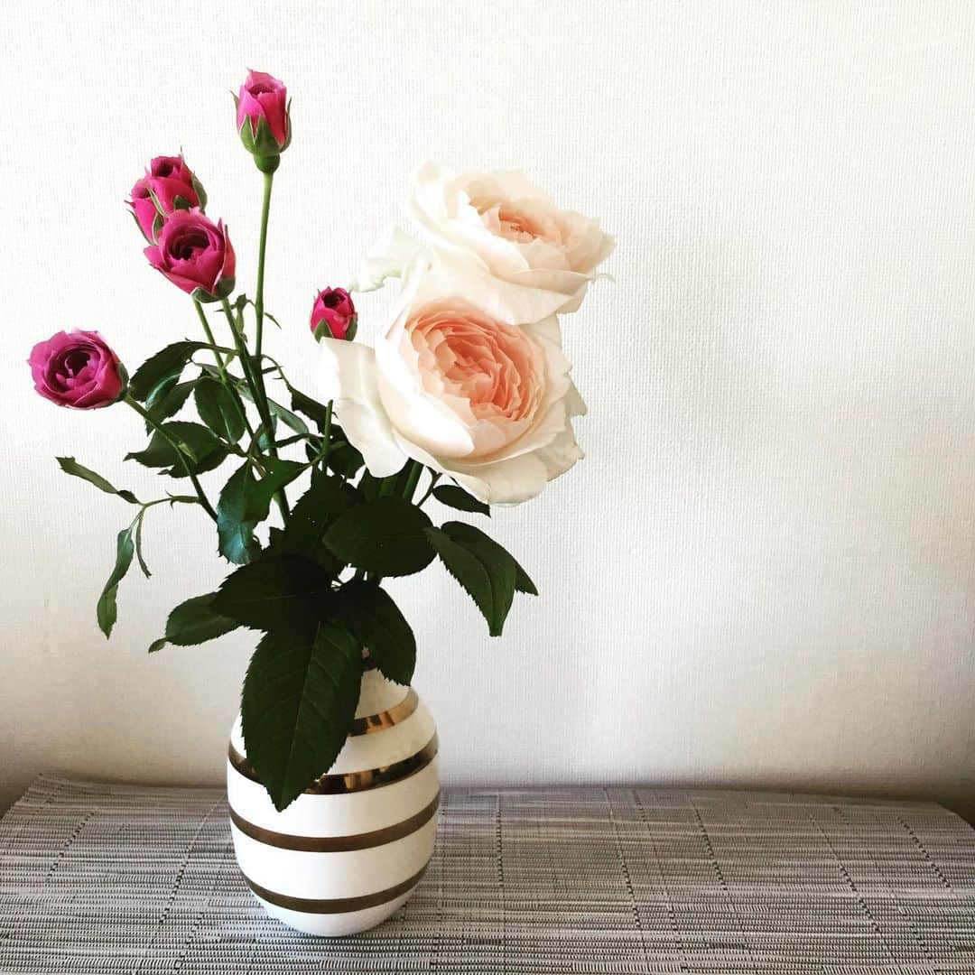 大手小町さんのインスタグラム写真 - (大手小町Instagram)「週末のお花。6月も最終週です。今週も楽しいことがありますように。  #otekomachi #大手小町 #フラワーベース は デンマークの #ケーラーオマジオ」6月23日 16時30分 - otekomachi