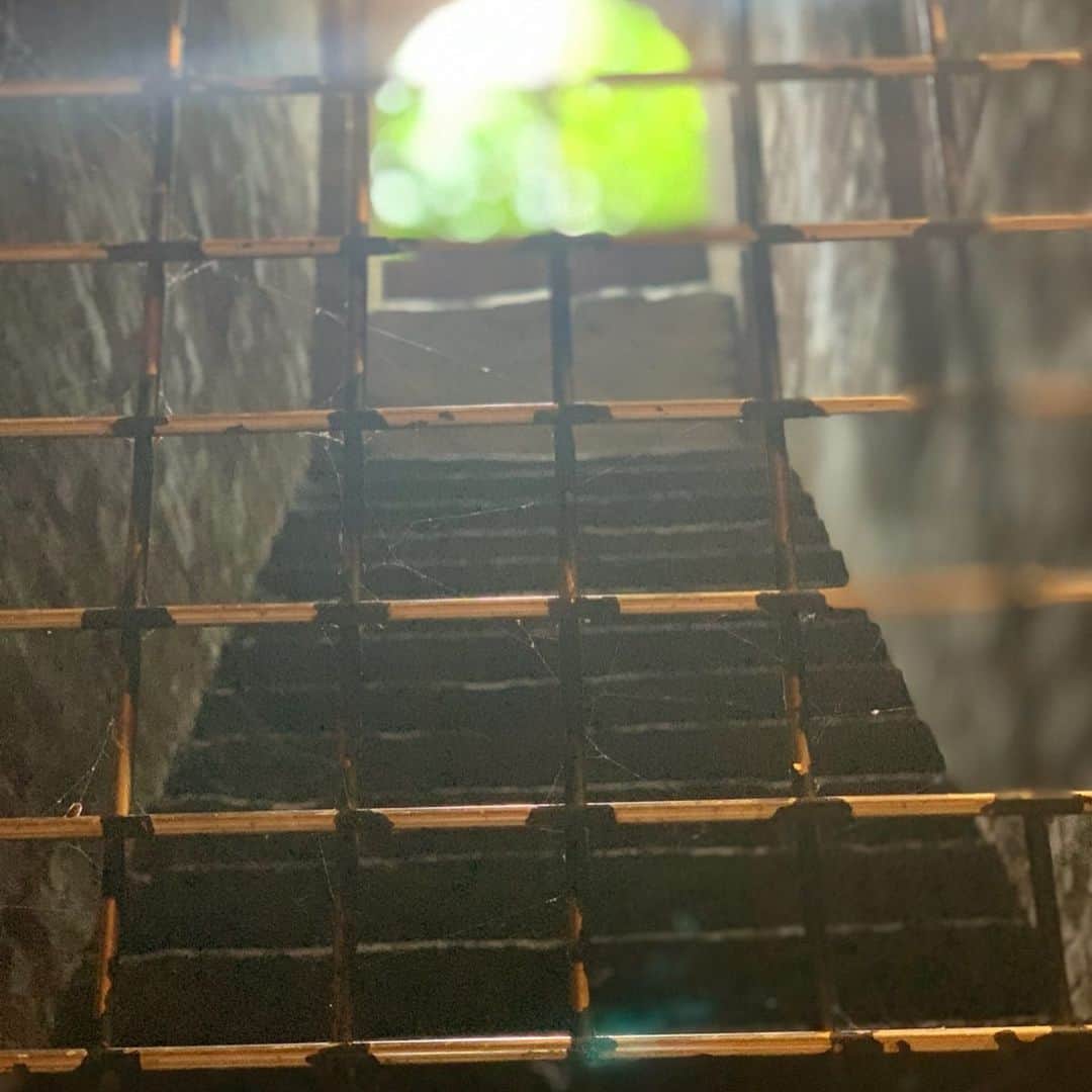 森下千里さんのインスタグラム写真 - (森下千里Instagram)「猿島へ。  横須賀から船ですぐ！ 小さな島のをてくてくお散歩。 小雨が降ったせいで、 緑が余計に綺麗。  こんな場所あったんだーと、 歴史と昔を生きていた人たちを感じながら、歩く束の間の🚶‍♀️ 旅が多いけど、 たまには、近くに遊びに行くのもいいですね。 . . #sunday #お散歩 #素敵な時間を！ #yokohama #yokosuka #trip #japan」6月23日 16時40分 - morishitachii