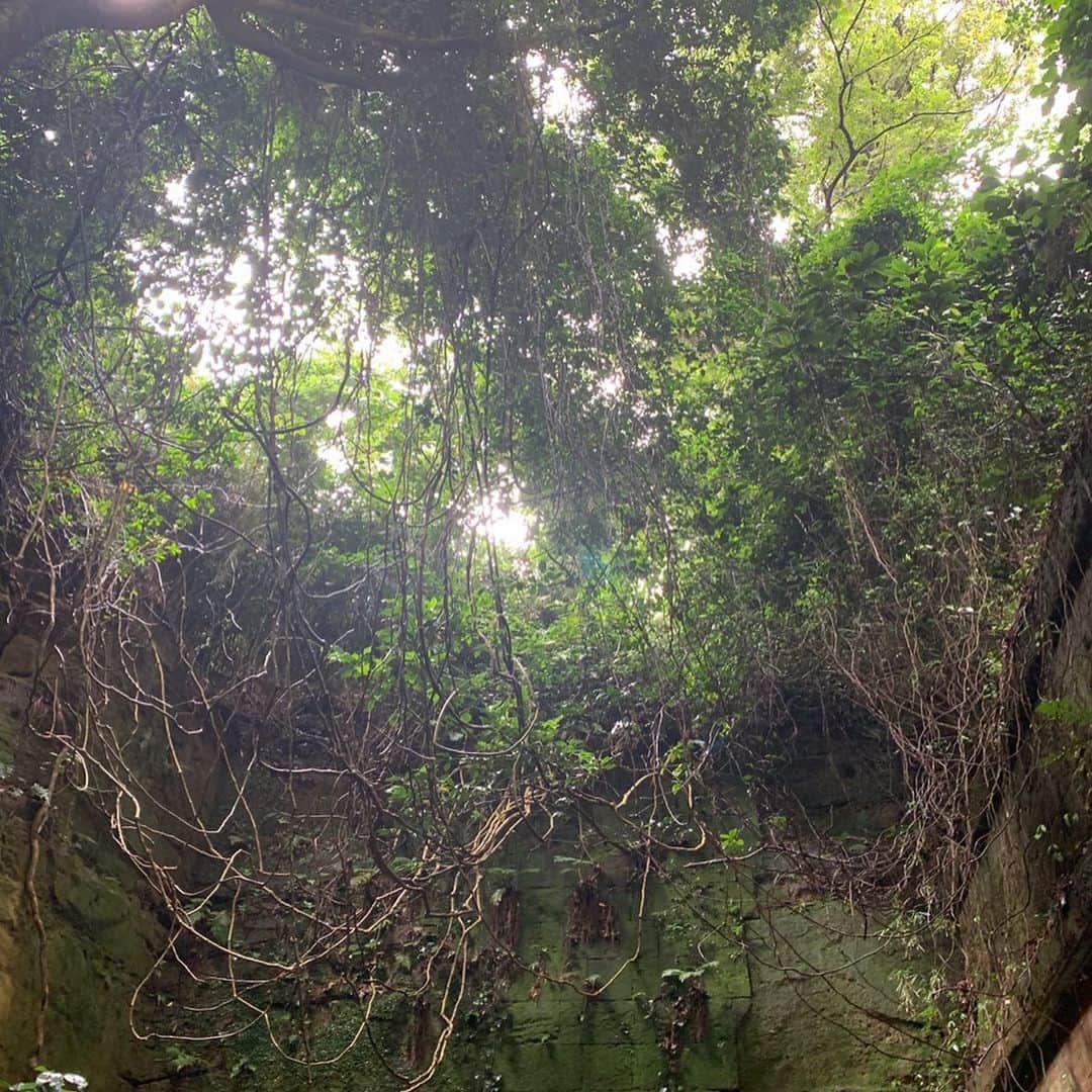 森下千里さんのインスタグラム写真 - (森下千里Instagram)「猿島へ。  横須賀から船ですぐ！ 小さな島のをてくてくお散歩。 小雨が降ったせいで、 緑が余計に綺麗。  こんな場所あったんだーと、 歴史と昔を生きていた人たちを感じながら、歩く束の間の🚶‍♀️ 旅が多いけど、 たまには、近くに遊びに行くのもいいですね。 . . #sunday #お散歩 #素敵な時間を！ #yokohama #yokosuka #trip #japan」6月23日 16時40分 - morishitachii
