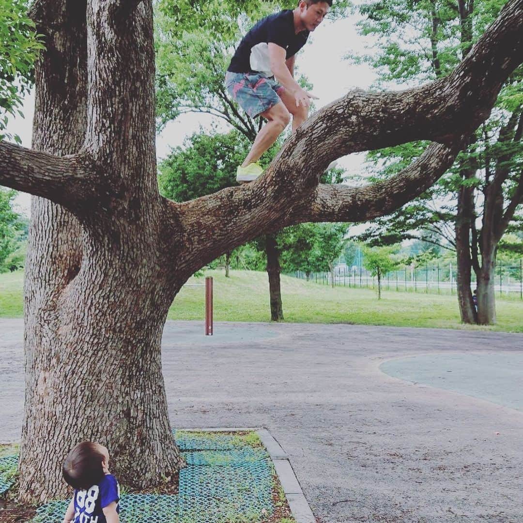 長崎峻侑さんのインスタグラム写真 - (長崎峻侑Instagram)「木登り。自然の中でのトレーニングが一番💪  #木登り #トレーニング」6月23日 17時10分 - shunsukenagasaki