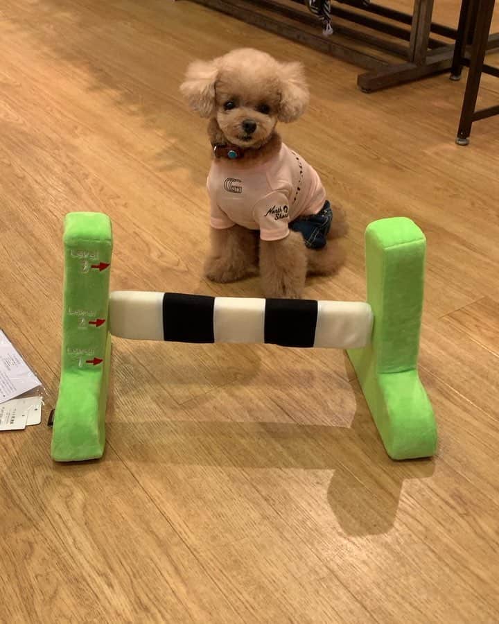 ❤︎Till❤︎のグルメインスタ