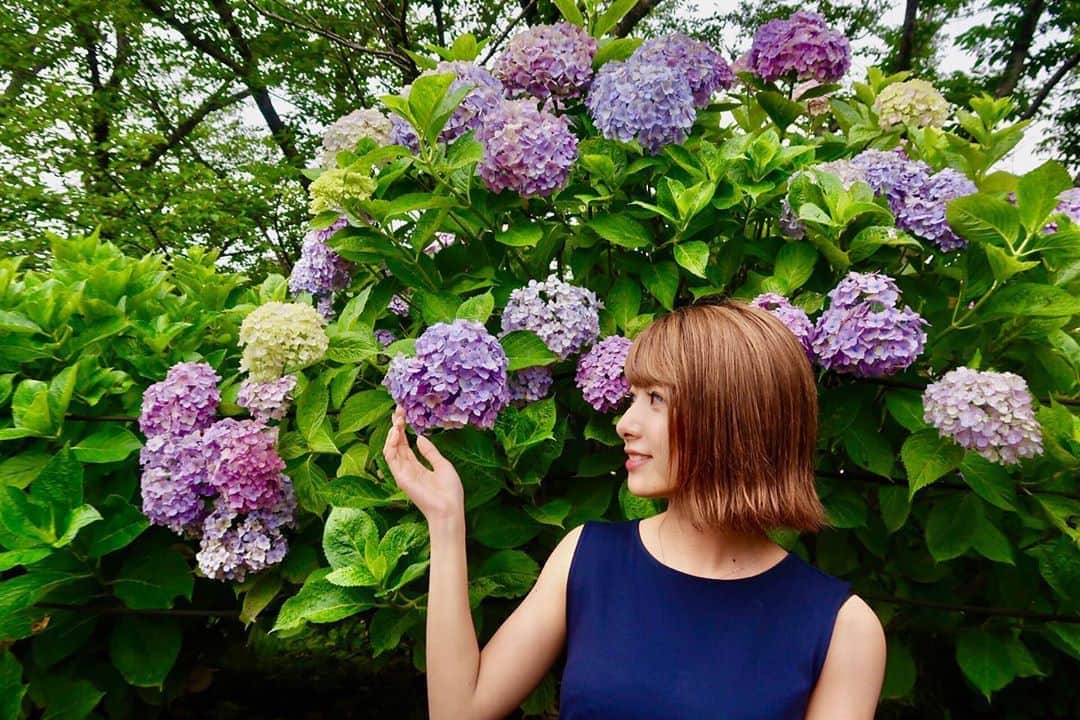 岡田栞奈のインスタグラム：「大好きな紫陽花💙 この季節になると 恋しくなります.... やっぱり青が1番好き☺️ ・ ・ #埼玉 #幸手権現堂堤 #アジサイ #紫陽花 #幸手あじさいまつり #誕生花 #カメラ女子 #梅雨 #日本の風景 #花のある暮らし #花好きな人と繋がりたい #flowers」