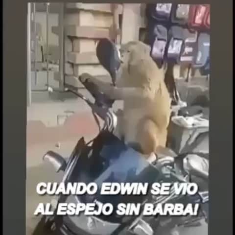 ホセ・レイエスのインスタグラム：「Quepetaculo 😫😢」