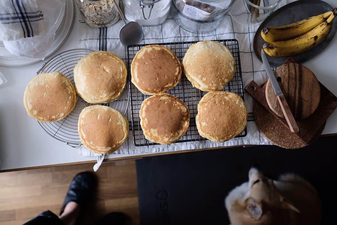 maggydaisyのインスタグラム：「_  お天気が悪くて嫌だねぇ 部屋がくらーーい  #pancake #pancakes #パンケーキ #corgi #コーギー #犬のいる暮らし #maggydaisymore20190623」