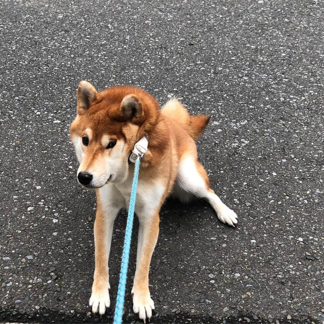 舞名里音のインスタグラム