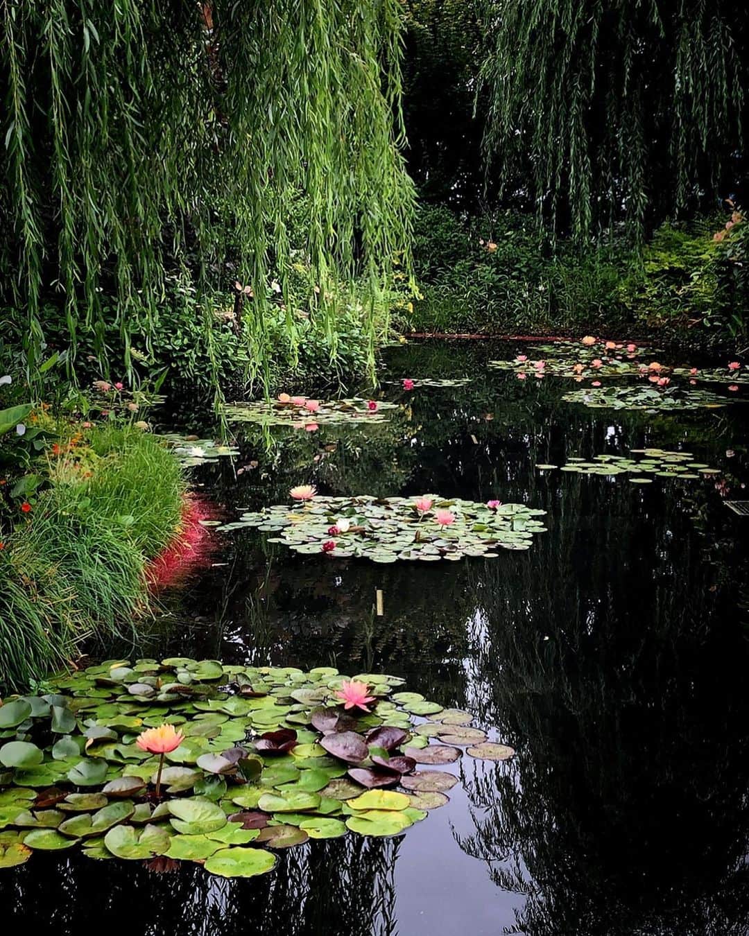 理絵のグルメインスタ