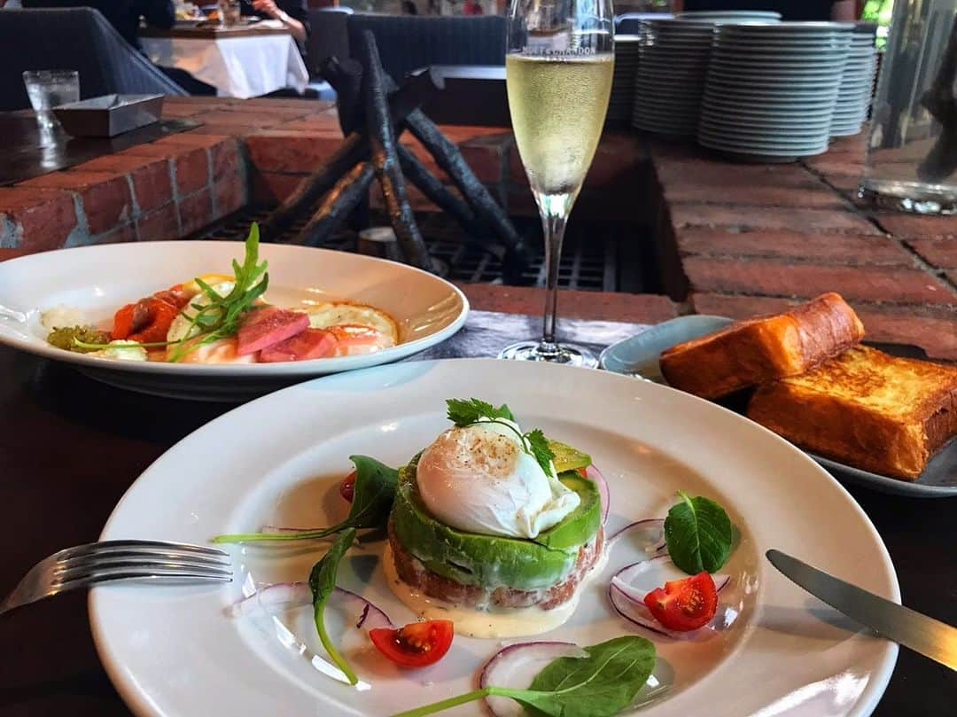 斉藤花奈のインスタグラム：「オシャレすぎるブランチ☺️ 六本木です( ^ω^ )  フレンチトーストはカリふわっ。 私が頼んだのはアボカドとサーモンのタルタル。  目でも楽しめる一皿でした🤗 お昼からシャンパン飲めるよ！笑 優雅な１日を始めたい時にオススメ。  #六本木 #六本木ランチ #ブランチ #ランチ #food #アナウンサー #インスタグラマー #札幌インスタグラマー #道産子  #PR #食べるの好きな人と繋がりたい  #食べログ #陸マイラー #旅好きと繋がりたい  #北海道 #アボカド #フレンチトースト #シャンパン #副業 #オシャレランチ #インスタ映え」